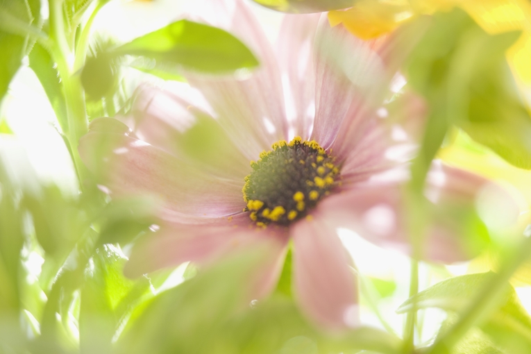 遺言 作成 書き方 富士市 富士宮市 相談 静岡 遺言サポーター