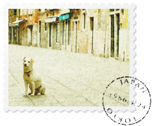 公正証書遺言　作成　相談　富士　富士宮　作り方　書き方